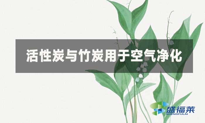 活性炭與竹炭這兩種材料在凈化空氣方面有何不同？